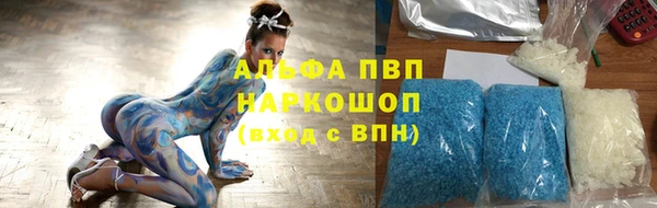 прущие грибы Волоколамск