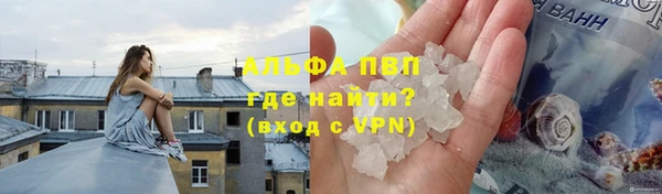 прущие грибы Волоколамск