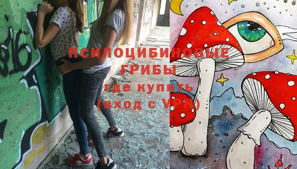 прущий лед Володарск