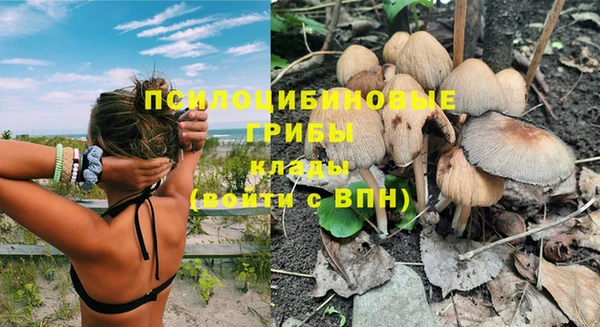 ГАЛЛЮЦИНОГЕННЫЕ ГРИБЫ Волосово