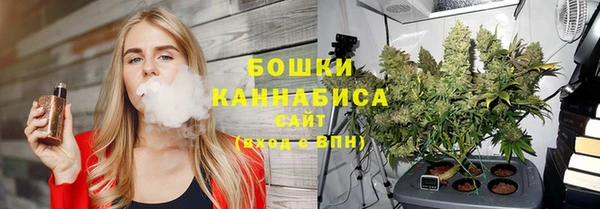 прущие грибы Волоколамск