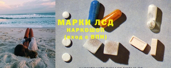 ГАЛЛЮЦИНОГЕННЫЕ ГРИБЫ Волосово