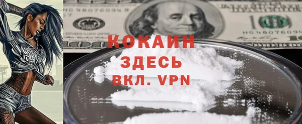 прущие грибы Волоколамск